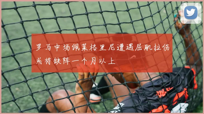 罗马中场佩莱格里尼遭遇屈肌拉伤或将缺阵一个月以上